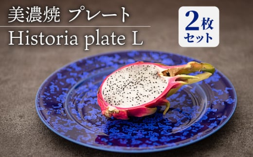 【美濃焼】 プレートL 2枚セット Historia plate L pair set 【柴田商店】 [TAL067]