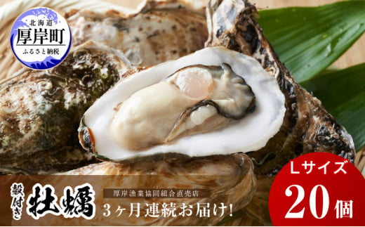 北海道厚岸町の１年中出荷できる牡蠣｜ふるさとチョイス - ふるさと