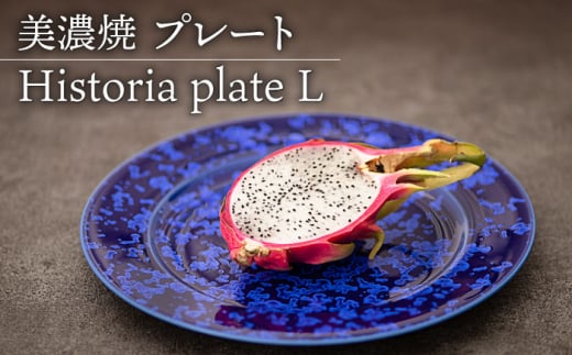 【美濃焼】 プレートL Historia plate L 食器 器 うつわ 多治見市/柴田商店  [TAL066]