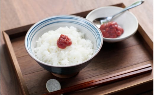 紀州南高梅 ねり梅セット （500g×3本）  / 和歌山 田辺市 紀州南高梅 南高梅 梅干し 梅干 梅 うめ 肉厚 お米 梅肉 しそ しそ風味 練り梅 練梅 924879 - 和歌山県田辺市