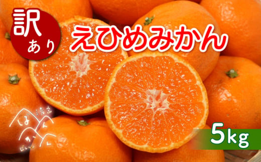 [先行受付]訳あり 清家ばんかんビレッジの愛媛みかん 5kg (傷み保証250g) [発送期間 11月上旬〜] みかん 愛媛みかん 温州みかん 有田みかん 南柑20号 柑橘 蜜柑 かんきつ 冬 秋 旬 正月 おすそ分け シェア 愛媛 愛媛県 愛南町 お歳暮 プレゼント くだもの 果物 フルーツ スイーツ おやつ お菓子 和菓子 甘い 糖度 オレンジ 冷凍 みかん ジュース 清家ばんかんビレッジ