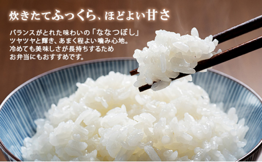 定期便 隔月3回 北海道産 ななつぼし 精米 20kg 5kg×4袋 米 新米 特A 白米 お取り寄せ ごはん 道産米 ブランド米 まとめ買い お米  ホクレン 北海道 倶知安町 【定期便・お米・ななつぼし・精米】