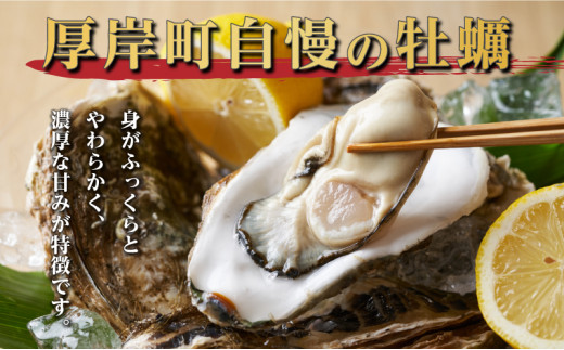 定期便 3ヶ月 北海道 厚岸産 牡蠣 Lサイズ 20個 (各回20個×3ヶ月分,合計60個) 殻付き 生食 カキナイフ付き かき カキ  [№5863-0471]