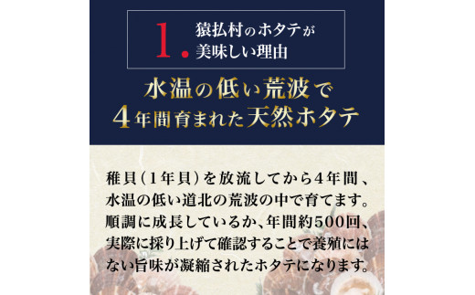 2024年とれたてを急速冷凍北海道猿払産　冷凍ホタテ貝柱　500g（25～30玉）【01042】