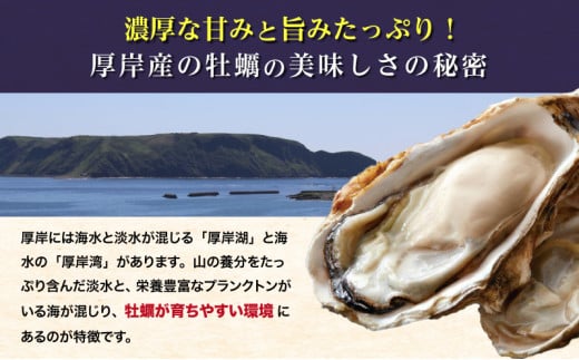 定期便 3ヶ月 北海道 厚岸産 牡蠣 Lサイズ 20個 (各回20個×3ヶ月分