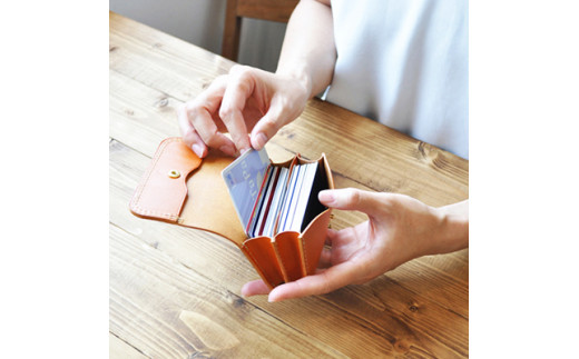 大容量 カードケース 栃木レザー ふるさと納税 本革 カードケース