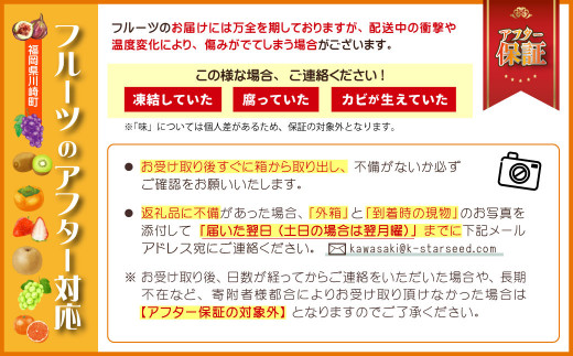 福岡県ブランドいちじく「とよみつひめ」約1.2ｋｇ(約300ｇ×4パック