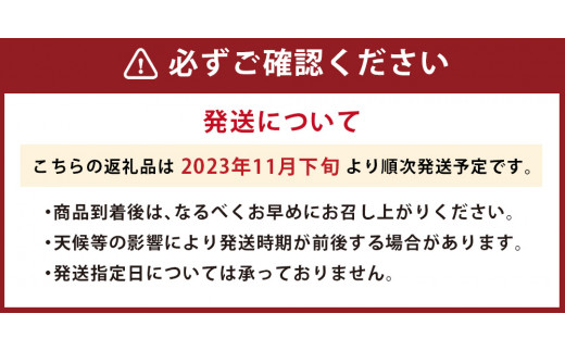 【2023年11月下旬発送開始】【冬】福岡産 あまおう いちご 約250～270g×2パック