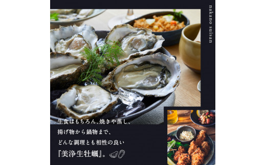 中野水産 美浄生牡蠣（殻付）15個 牡蠣ナイフ付 - 広島県呉市