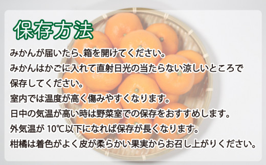 訳あり】清家ばんかんビレッジの愛媛みかん 5kg 発送期間：11月上旬~1