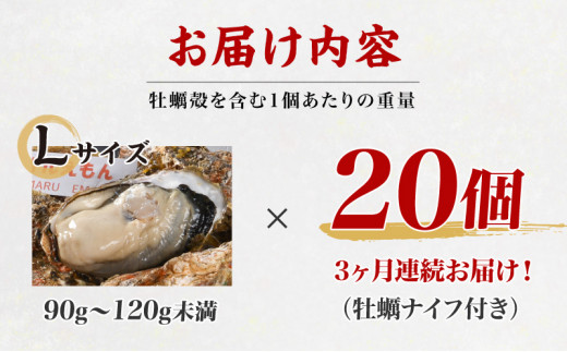 定期便 3ヶ月 北海道 厚岸産 牡蠣 Lサイズ 20個 (各回20個×3ヶ月分