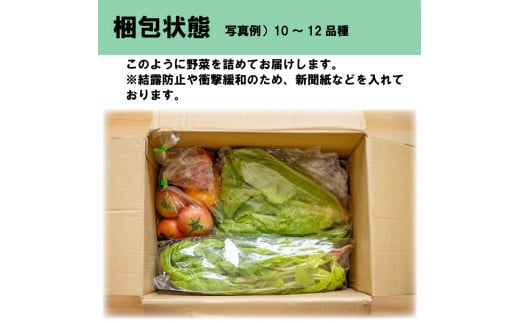 野菜 お楽しみ 定期便 6回 10~12品目 詰め合わせ セット 玉ねぎ とまと