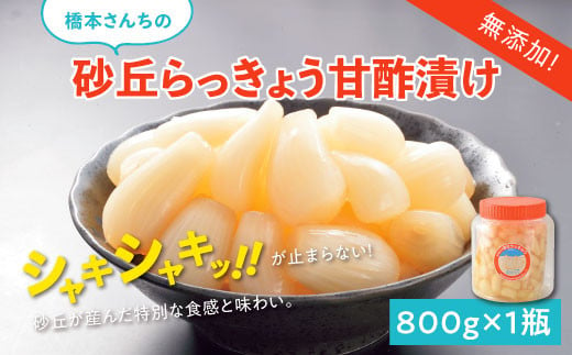 0694 橋本さんちの砂丘らっきょう甘酢漬け 800ｇ(瓶) - 鳥取県鳥取