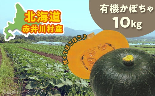甘くてほこほこ！関野農場の有機かぼちゃ（北海道赤井川村産）