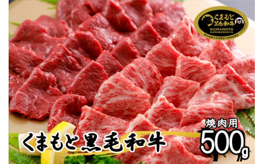 【令和6年9月出荷分】くまもと黒毛和牛500g（焼肉用） 1171735 - 熊本県小国町
