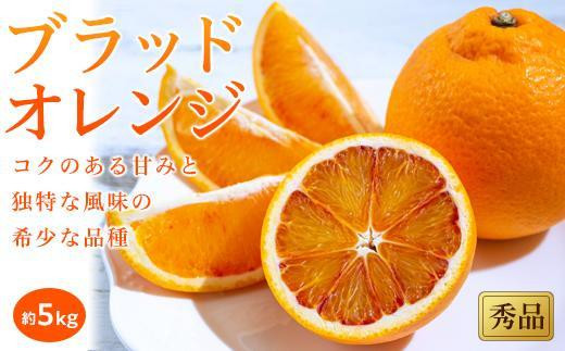 【3月下旬から発送】 ブラッドオレンジ＜秀品＞約5kg