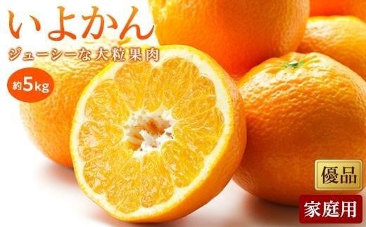 【1月中旬から発送予定】いよかん＜優品・家庭用＞約5kg 588716 - 愛媛県松山市