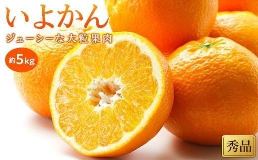 【1月中旬から発送予定】いよかん＜秀品＞約5kg 588717 - 愛媛県松山市