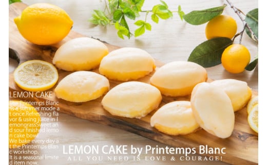 【期間限定】レモンケーキ6個セット（AQ033-1）
