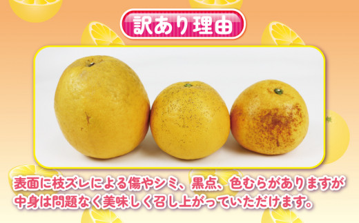 訳ありの理由画像