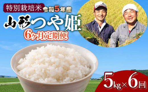 令和5年産 新米 特別栽培米 山形つや姫 定期便 精米5kg×6ヶ月 鶴岡