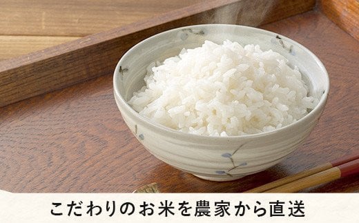 米 ミルキークイーン ( 玄米 ) 5kg ( 令和5年産 ) 特別栽培米 なかまた農園 沖縄県への配送不可 2023年11月上旬頃から順次発送予定  低アミロース もちもち 玄米 お米 お弁当 おにぎり 信州 21000円 予約 農家直送 長野県 飯綱町 [1628]