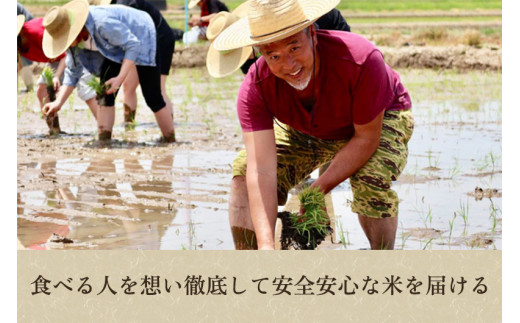 【定期便12ヶ月毎月お届け】新潟産コシヒカリ「伝」白米真空パック 精米5kg 南麻布の高級料亭で提供される極上米 かやもり農園