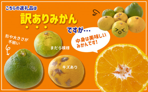 訳あり みかん 18kg 大小混合 果物 熊本県なごみ町産 - 熊本県和水町