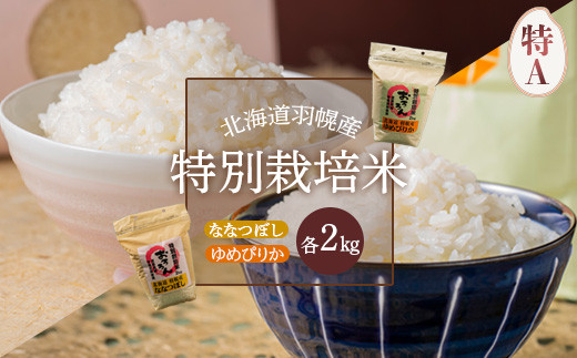 令和5年産・新米】北海道羽幌産 特別栽培米ゆめぴりか2kg・ななつぼし