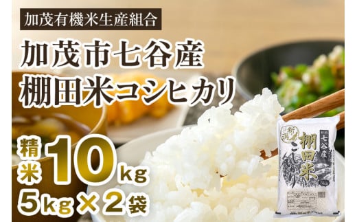 【令和5年産米】新潟県加茂市 七谷産 棚田米コシヒカリ 精米10kg（5kg×2）白米 加茂有機米生産組合 920905 - 新潟県加茂市