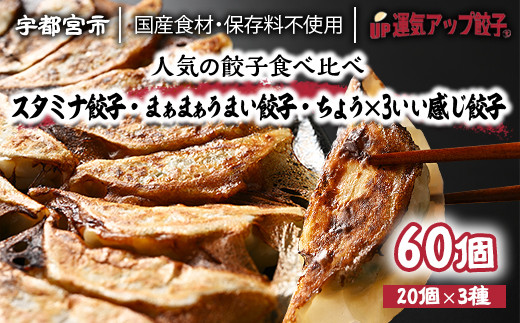 宇都宮餃子　豚餃子3種類(合計60個)　保存料不使用