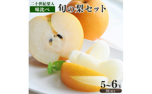 A19 南陽園 奈良県産 旬の梨 味くらべ 3L以上 (5~6玉入り)二十世紀梨セット 期間限定 935812 - 奈良県大淀町