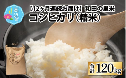 【令和5年産】【12ヶ月定期便】和田の里米 コシヒカリ 白米(精米) 10kg×12回 計120kg 