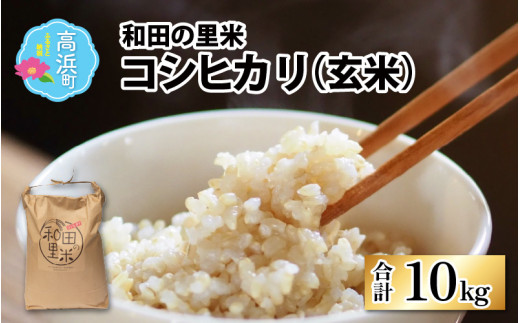 【令和5年産】和田の里米 コシヒカリ 玄米 10kg