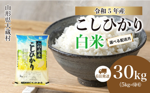 令和5年産 大蔵村 コシヒカリ 【白米】 定期便 30kg （5kg×1か月間隔で6回お届け）|株式会社ちいき物産（もがみ南部営業所）