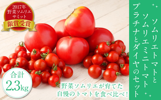 【食べ比べ】ソムリエトマト1.3kgとソムリエミニトマト プラチナ500gとダイヤ500gのセット