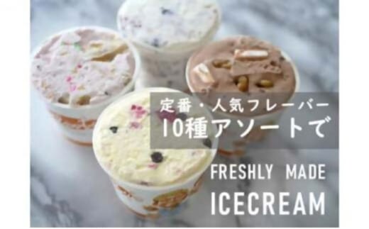 湘南茅ヶ崎の人気店 プレンティーズのアイスクリーム(バラエティセット5種10個)[のし有]