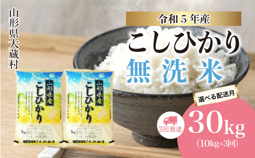 令和5年産 大蔵村 コシヒカリ 【無洗米】 定期便 30kg （10kg×1か月間隔で3回お届け）|株式会社ちいき物産（もがみ南部営業所）