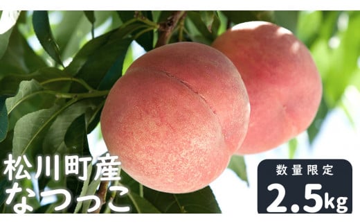 桃　なつっこ2.5キロ