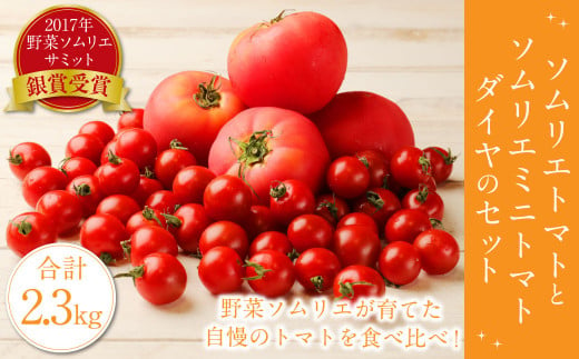 【食べ比べ】ソムリエトマト1.3kgとソムリエミニトマト ダイヤ1kgのセット