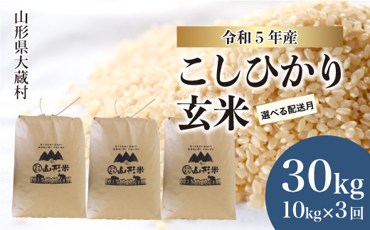 令和5年産 大蔵村 コシヒカリ 【玄米】 30kg定期便 （10kg×3回発送