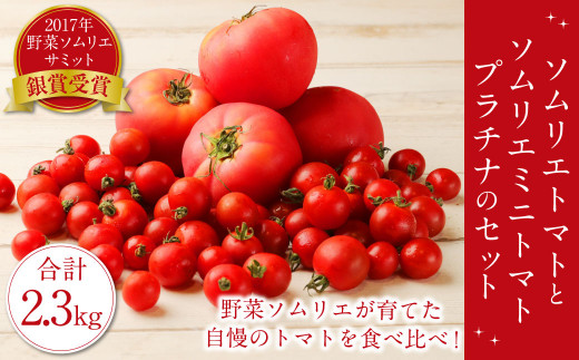 【食べ比べ】ソムリエトマト1.3kgとソムリエミニトマト プラチナ1kgのセット