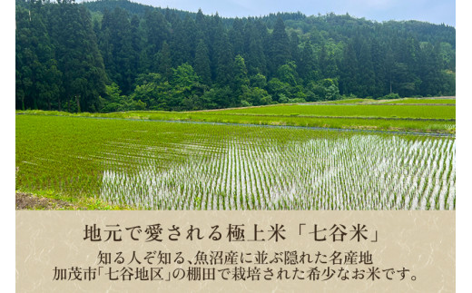 令和5年産新米】新潟県加茂市 七谷産 棚田米コシヒカリ 精米20kg（5kg