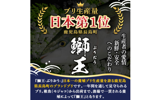 テレビで紹介されました！長島町特産「鰤王」フィレ(約1.5kg・フィレ1