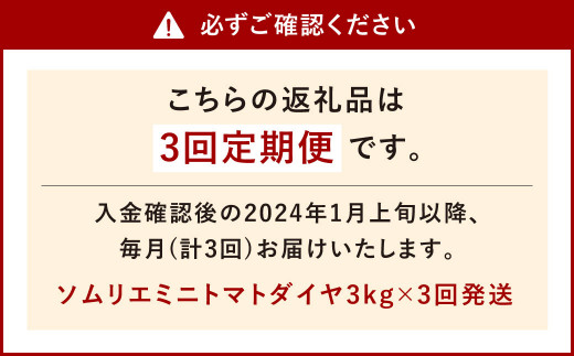 【年3回 定期便 /2024年1月発送開始】【塩トマト のような フルーツトマト】ソムリエ ミニ トマト ダイヤ 3kg×3回 合計9kg とまと  トマト