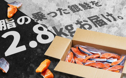 【訳あり】 銀鮭 切身 甘口 (不揃い) 約2.8kg 鮭 冷凍【04203-0661】