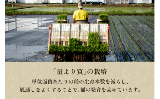 令和5年産新米】新潟県加茂市 七谷産 棚田米コシヒカリ 精米12kg（5kg