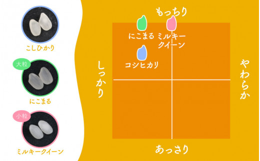 令和5年産新米】《定期便6回》ミルキークイーン 5kg×2袋 10kg（計60kg