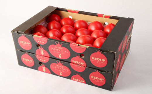 ソムリエ トマト  4kg × 2箱