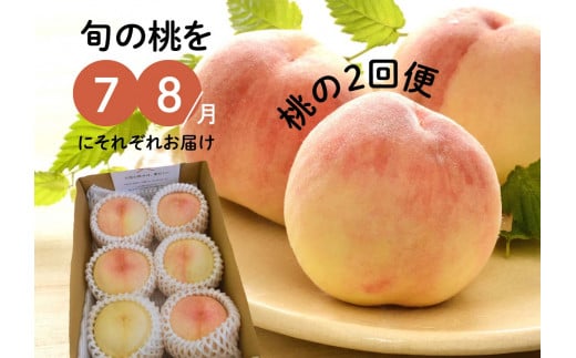 KF-T025【きよとう】旬の桃の食べ比べを楽しむ、桃の２回便！ 940271 - 岡山県真庭市